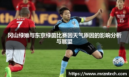 冈山绿雉与东京绿茵比赛因天气原因的影响分析与展望